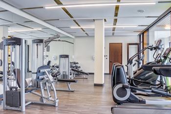 Gym area equipment